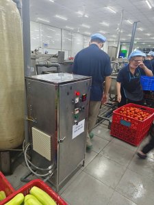 Máy ozone 50g/h giải nhiệt bằng nước dùng rửa rau xưởng chế biến công nghiệp OMWATER